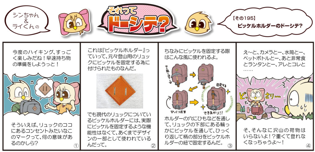 それってドーシテ?ピッケルホルダーのドーシテ?