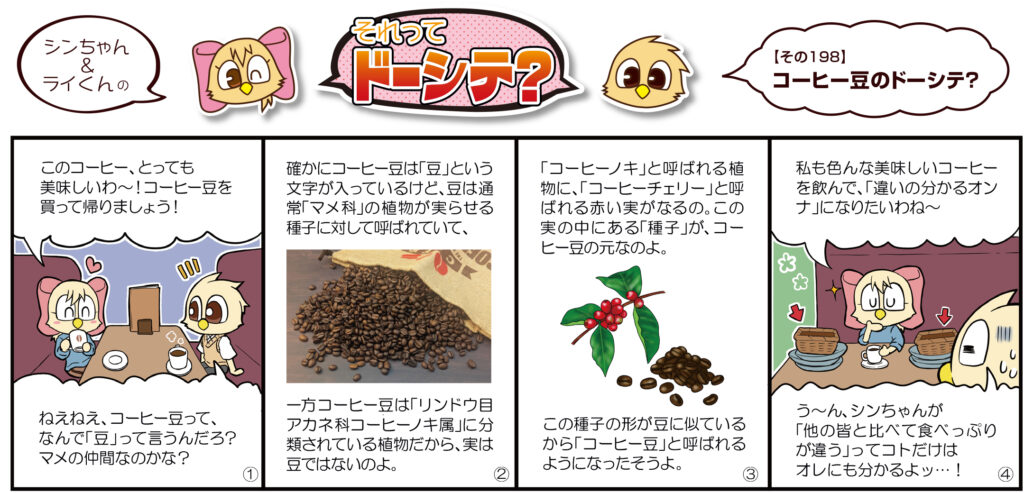 コーヒー豆のドーシテ？