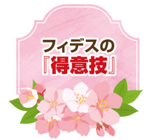 フィデスの「得意技」