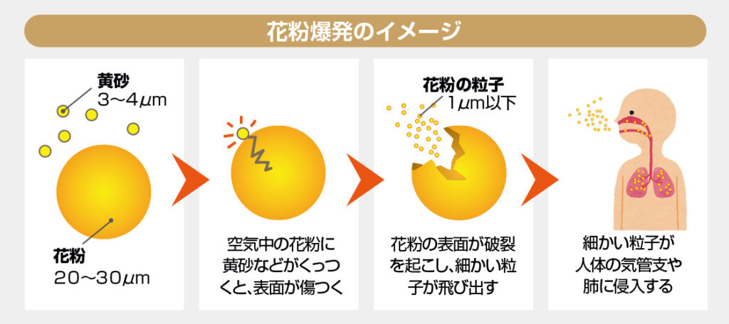 花粉爆発のイメージ