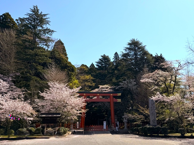 20260403香取神宮安全祈願_遠景