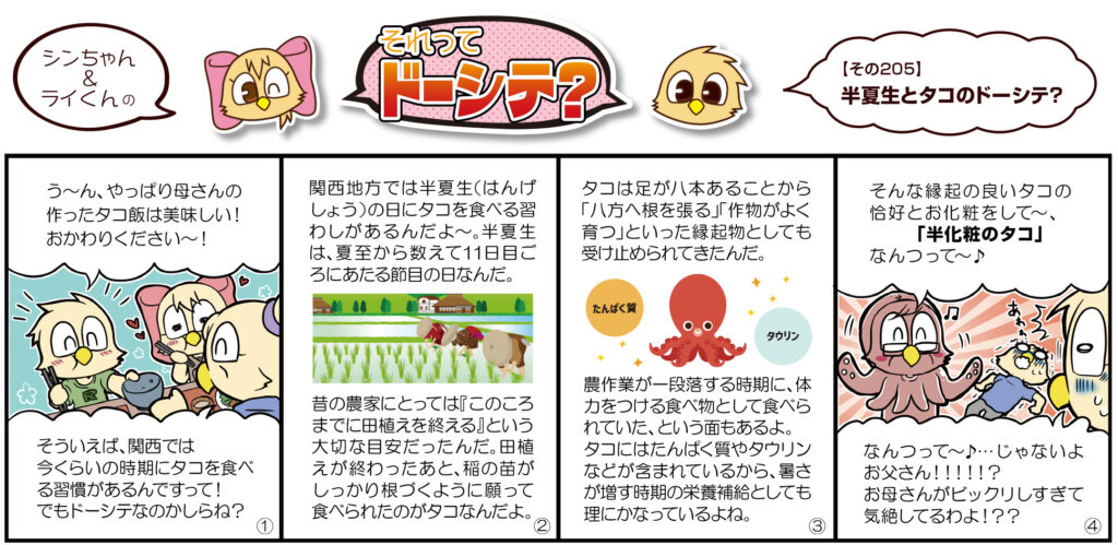 半夏生とタコのドーシテ？