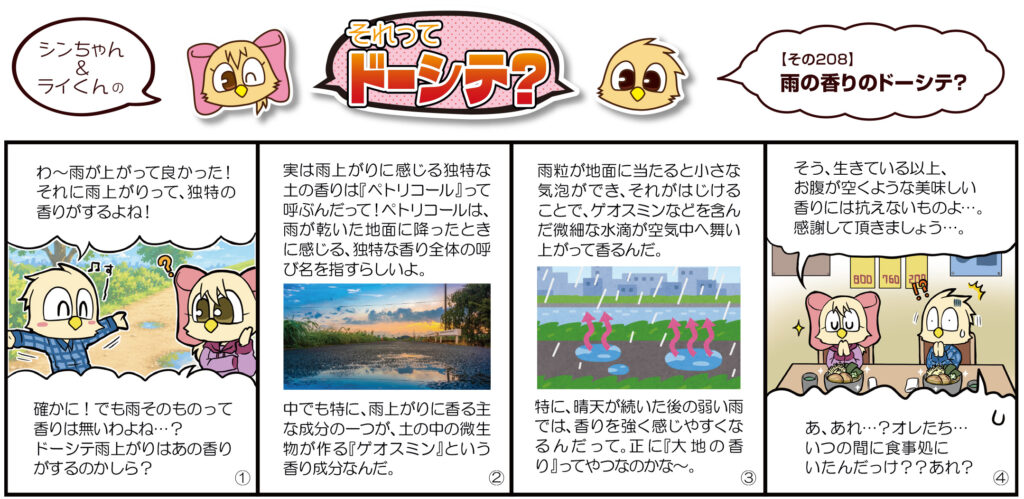雨の香りのドーシテ？